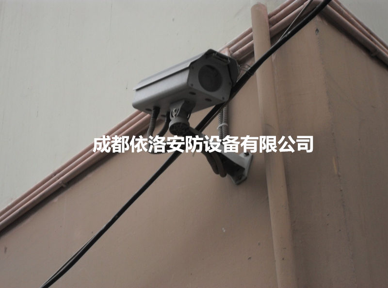 &#66;&#20307;&#32946;