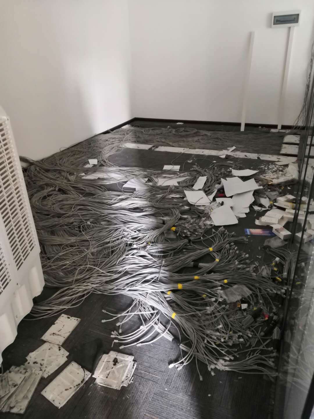 &#66;&#20307;&#32946;