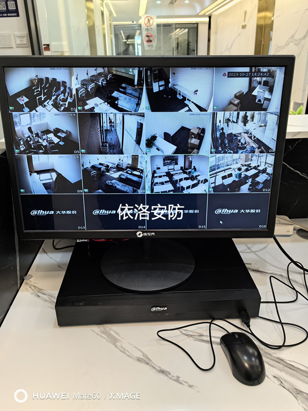 &#66;&#20307;&#32946;